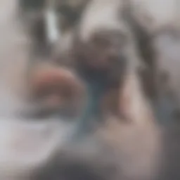 Illustration showing the stages of chronic kidney disease