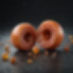 Illustration depicting the formation of kidney stones from dietary influences