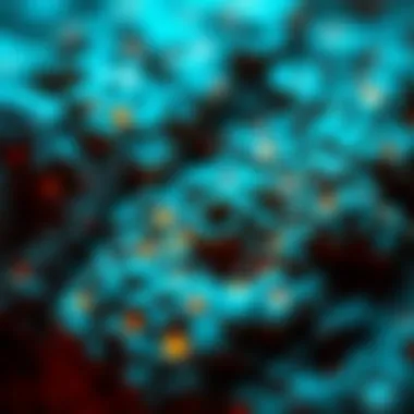 Infographic on potential causes of lichen sclerosus