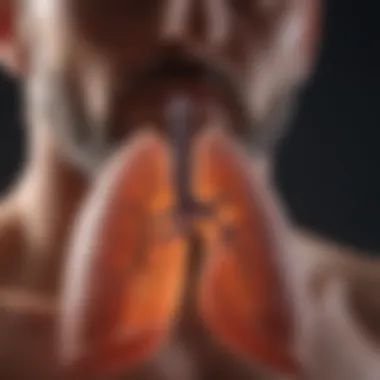 Scientific Evidence Supporting Lung Health Supplements Visual infographic detailing scientific studies on lung supplements efficacy.