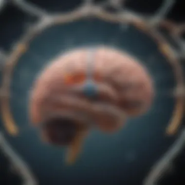 Mechanism of Action of SNRIs in the Brain Diagram showcasing the action of SNRIs