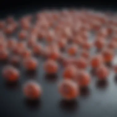 Clinical Applications of Mycophenolate 250 mg Clinical Applications of Mycophenolate