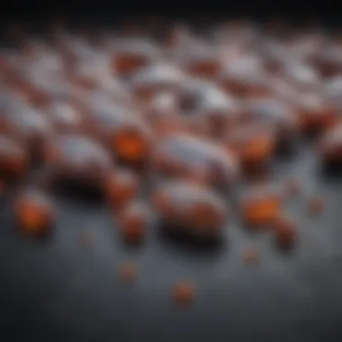 Understanding the Ingredients of Mycophenolate Capsules Composition of Mycophenolate 250 mg Capsules