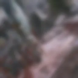 A visual representation of the private label market trends