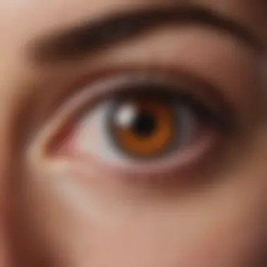 Visual representation of clinical applications of olopatadine in ophthalmology