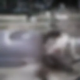 Illustration showcasing the global reach of data science outsourcing