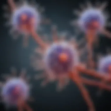 Opioid Receptor Binding Mechanism Visualization of opioid receptor interactions