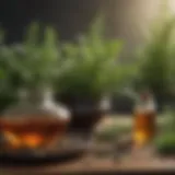 Herbs known for alleviating perimenopause symptoms