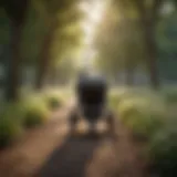 Parent running with a stroller in a park