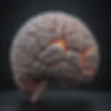 A brain with highlighted areas indicating neurological activity