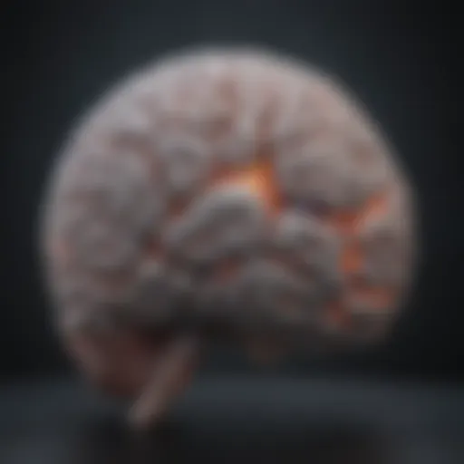 A brain with highlighted areas indicating neurological activity