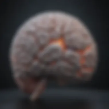 Neurological Activity After TBI A brain with highlighted areas indicating neurological activity