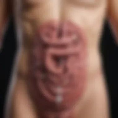 Gastrointestinal Disorders Detected by Stool Card Tests Visual representation of gastrointestinal disorders detected by stool card tests