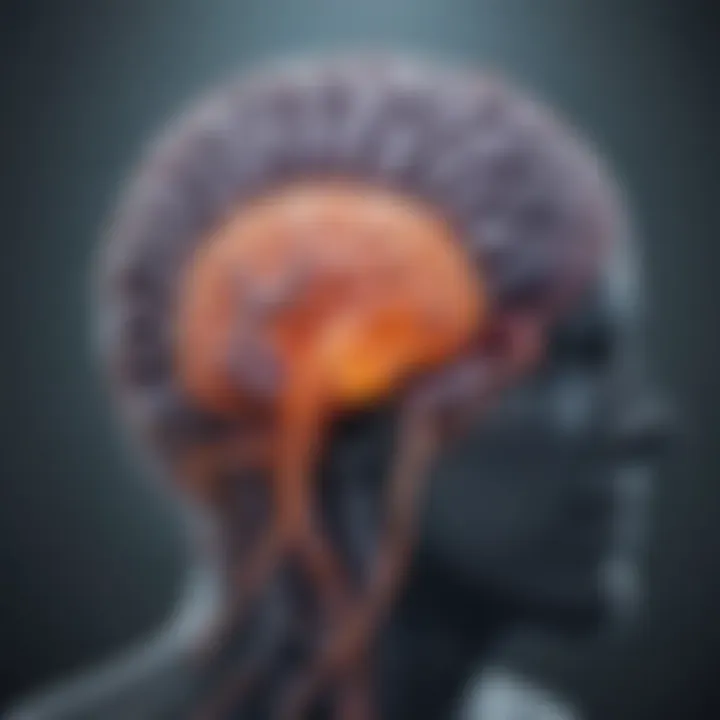 Infographic illustrating neurological impacts of Naegleria fowleri infection