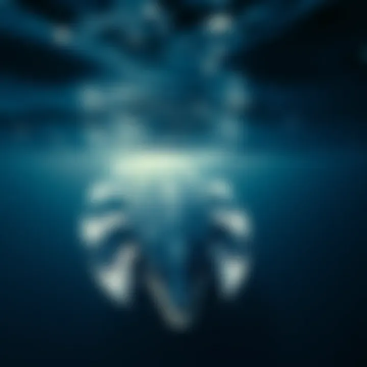 Aerial view of blue whales feeding in rich nutrient waters
