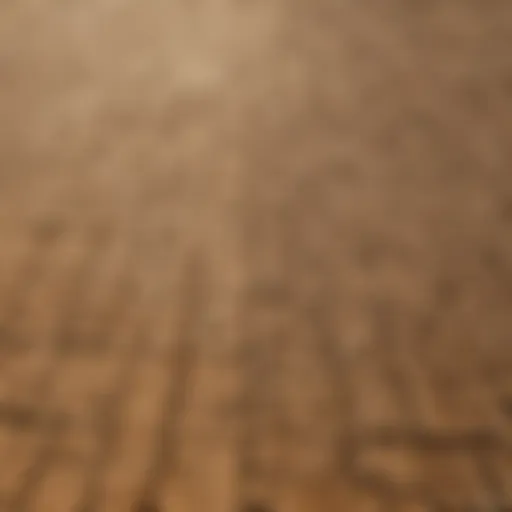 Aerial view of a drought-affected agricultural field