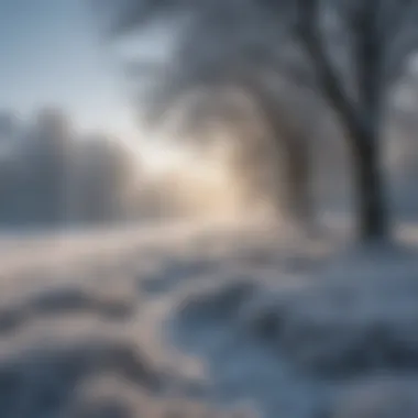 Chilly winter landscape with frost-covered trees