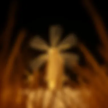 Historical wind turbine design from the early centuries