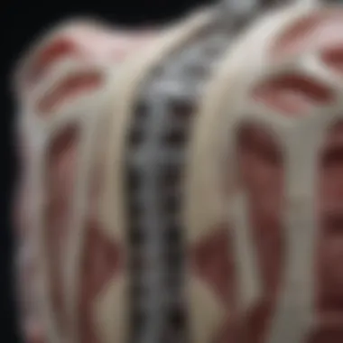 The M6 Spinal Implant: A Comprehensive Overview Introduction The M6 Spinal Implant: A Comprehensive Overview Introduction