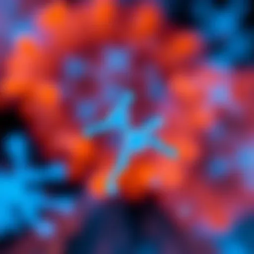 The Role and Application of Cy5 Secondary Antibody in Scientific Research Introduction