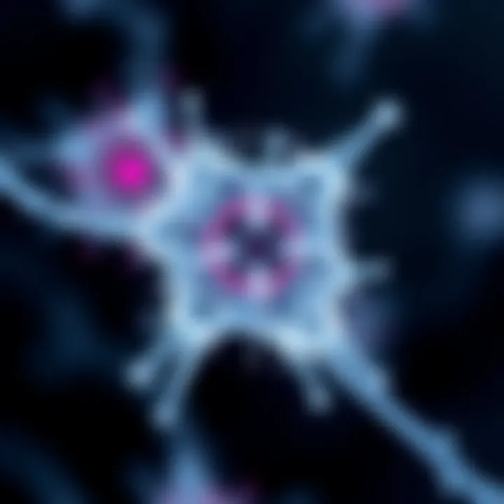 The Role and Application of Cy5 Secondary Antibody in Scientific Research Summary