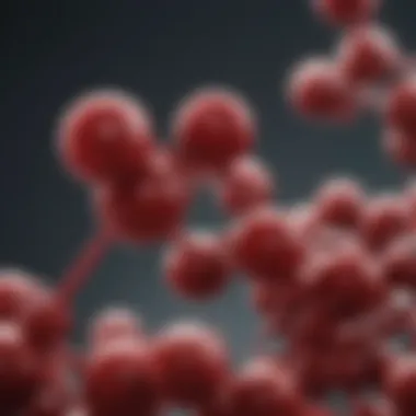 Understanding the Chemical Structure of PAC Chemical structure of proanthocyanidins
