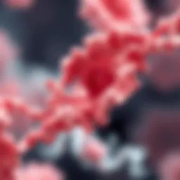 Protein's role in facilitating tissue regeneration