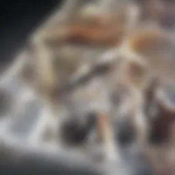 Illustration of different types of RNA and their functions