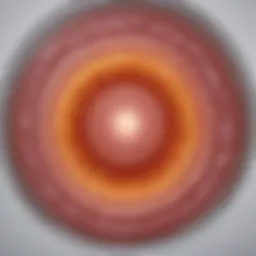 Detailed illustration of the ovulation cycle