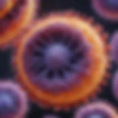 Microscopic Examination of Pancreatic Tumors Microscopic view of pancreatic cancer cells