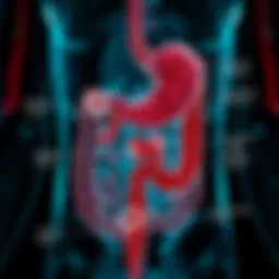 Diagram illustrating the gastrointestinal tract and potential bleeding sites