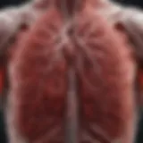 Illustration of blood clots in the lungs