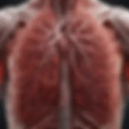 Illustration of blood clots in the lungs