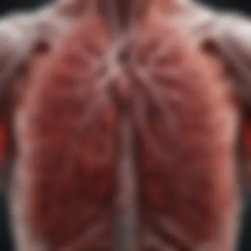 Illustration of blood clots in the lungs