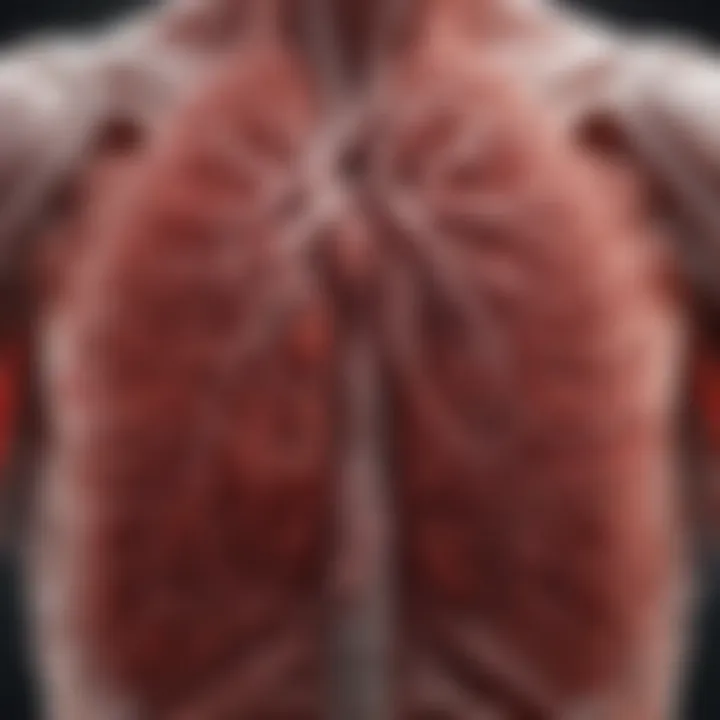 Illustration of blood clots in the lungs