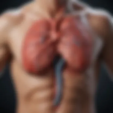 Impact on Circulation Diagram showing the impact of double pulmonary embolism on circulation