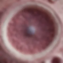 Microscopic view of DCIS cells highlighting their structure