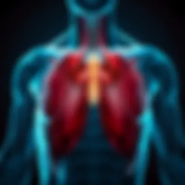 Illustration depicting the anatomy of chest muscles