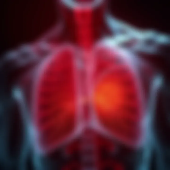 Graphic representation of inflammation process in muscles