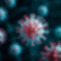 Microscopic view of the influenza virus structure