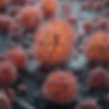 Microscopic view of MRSA bacteria