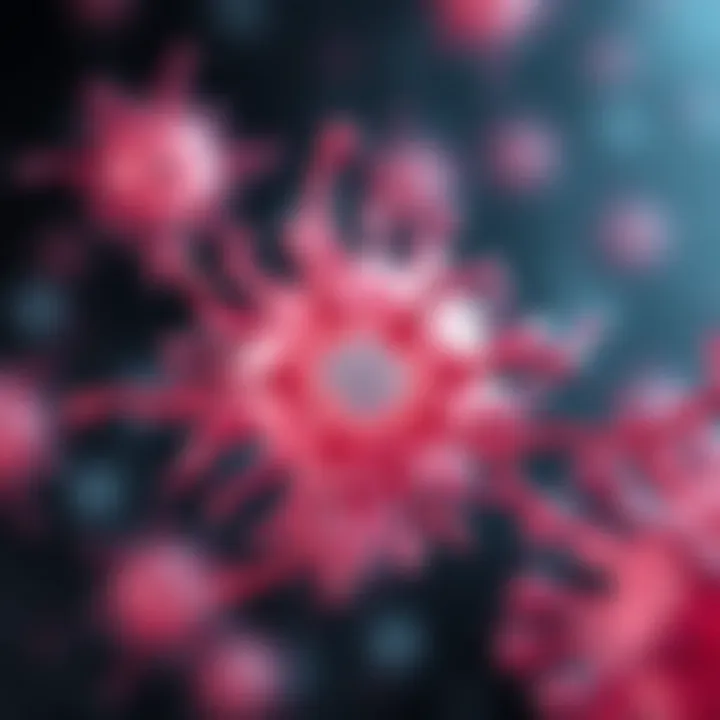 Cellular Structure of Myeloma Illustration depicting the cellular structure of myeloma