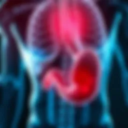 Understanding Pain in the Lower Left Stomach Area Introduction