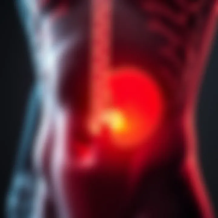 Notable Understanding Pain in the Lower Left Stomach Area