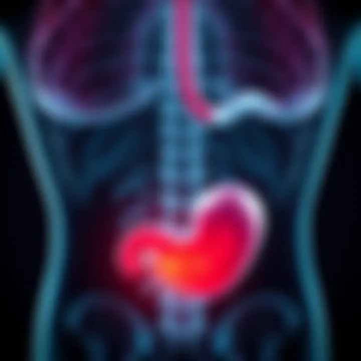 Understanding Pain in the Lower Left Stomach Area Summary