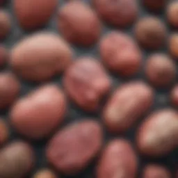 Illustration of different types of rare liver tumors