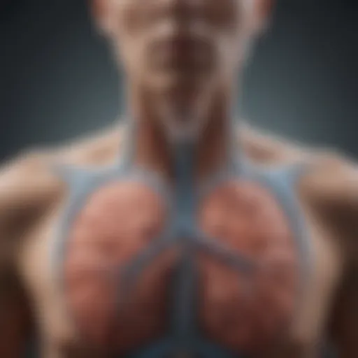 Illustration of respiratory system during physical exertion