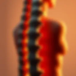 Understanding Spondylosis of the Spine: A Comprehensive Overview Introduction