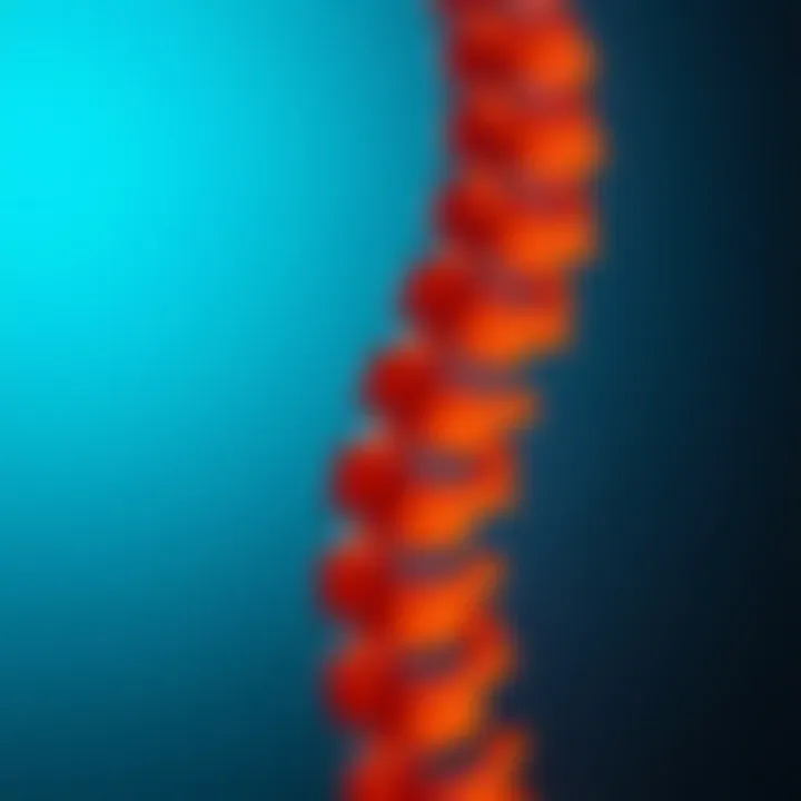 Notable Understanding Spondylosis of the Spine: A Comprehensive Overview