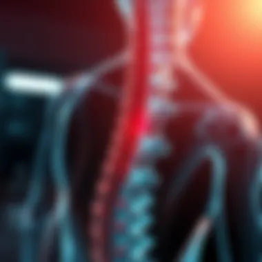 Understanding Spondylosis of the Spine: A Comprehensive Overview Summary